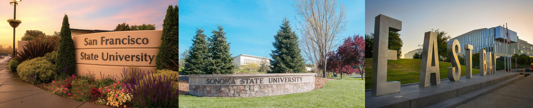 Network Universities